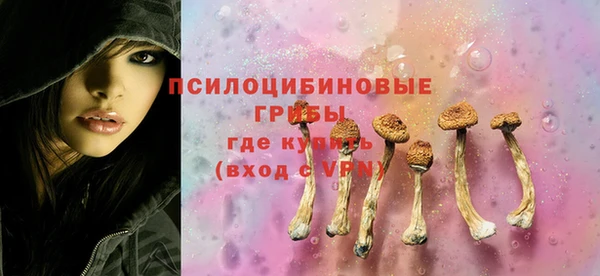 герыч Няндома