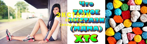 индика Новозыбков