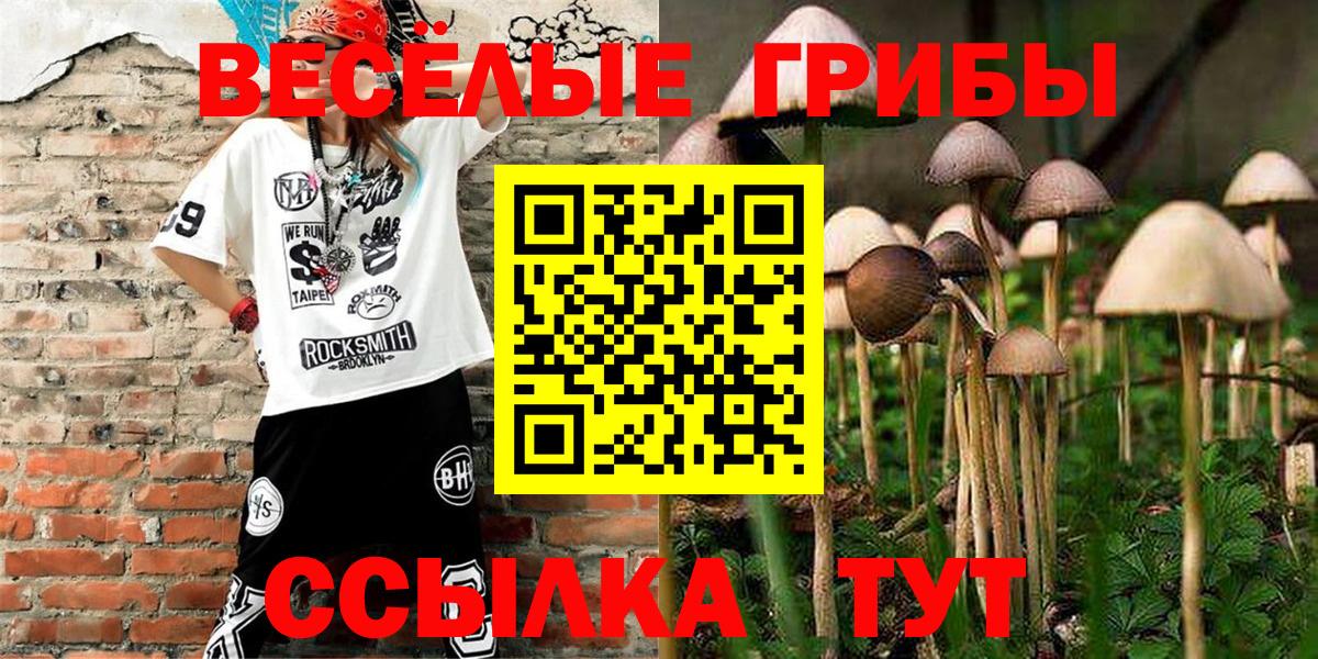 сколько стоит  Вход с VPN  Галлюциногенные грибы мухоморы  Татарск  Галлюциногенные грибы GOLDEN TEACHER 